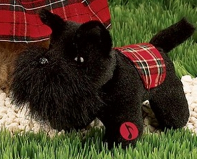 MacDougal Dog